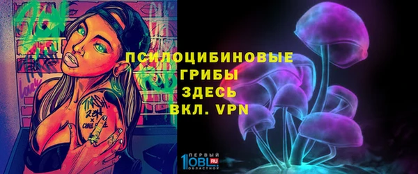 не бодяженный Алексин