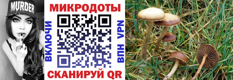 Псилоцибиновые грибы Magic Shrooms  Берёзовский 